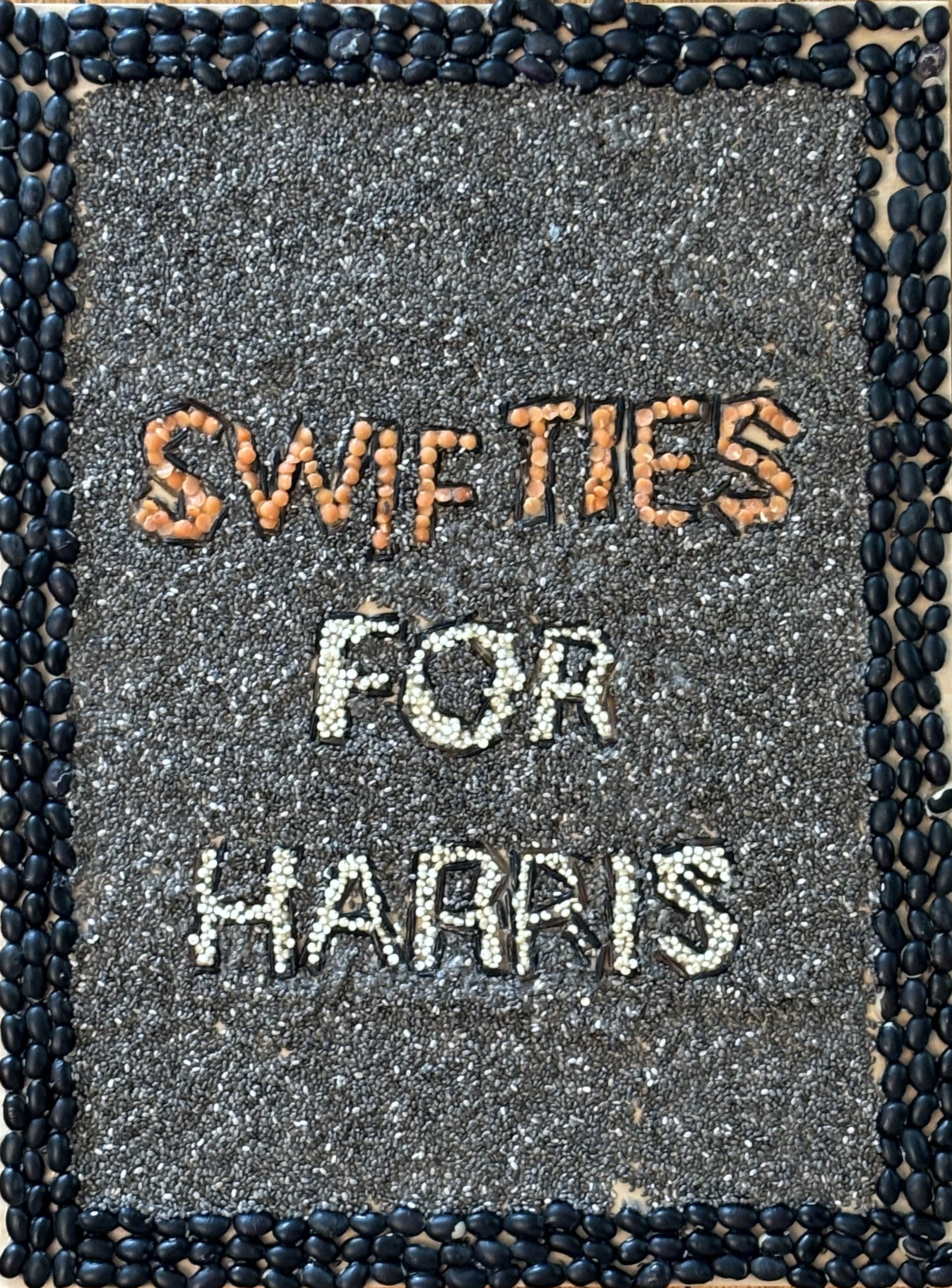 [Clare Swifties for Harris image]